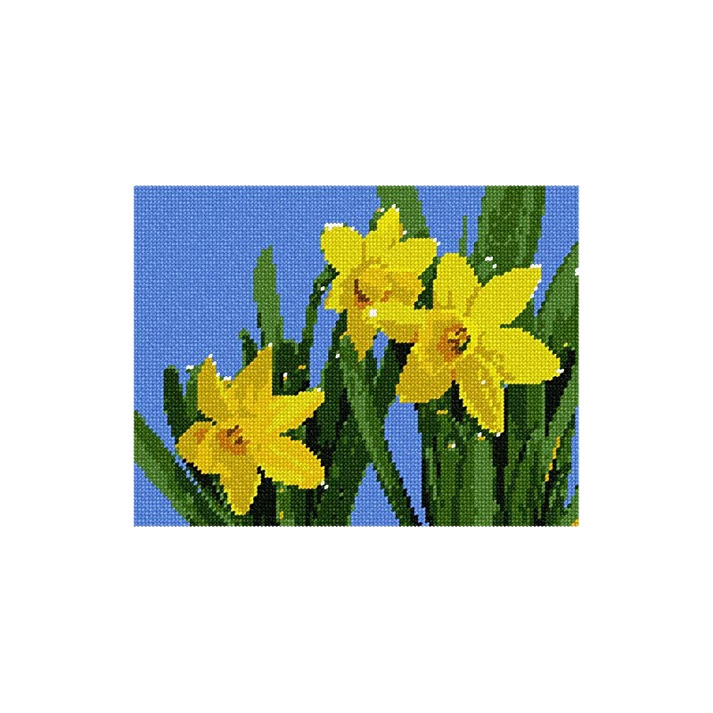 Pepita Needlepoint Canvas: Daffodils, 9" x 7"