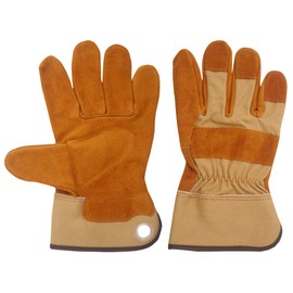 ACE AG9541 Color Canvas Gloves, Grommet, Amber, L Size