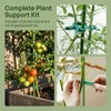 4 Pack Garden Tomato Cage for Pots, 18" Metal Tomatoes