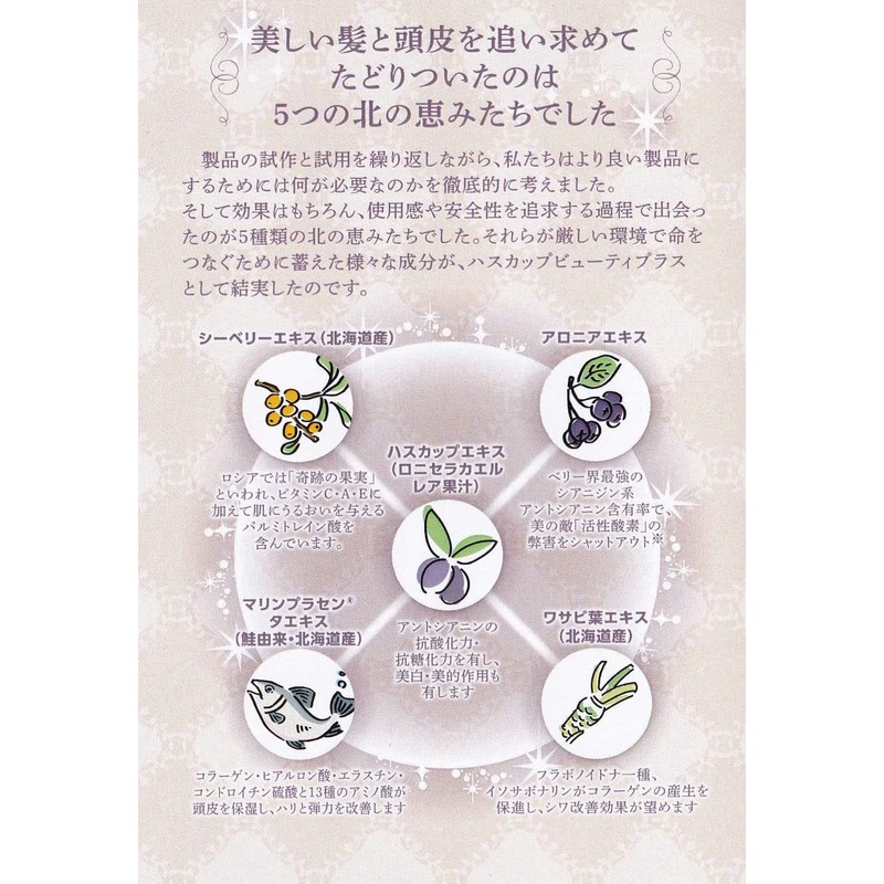 Haskap Beauty Plus Treatment 360ml