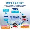 ENJOY AQUA Fish with Clean Water! High Concentration Bacteria, Bio