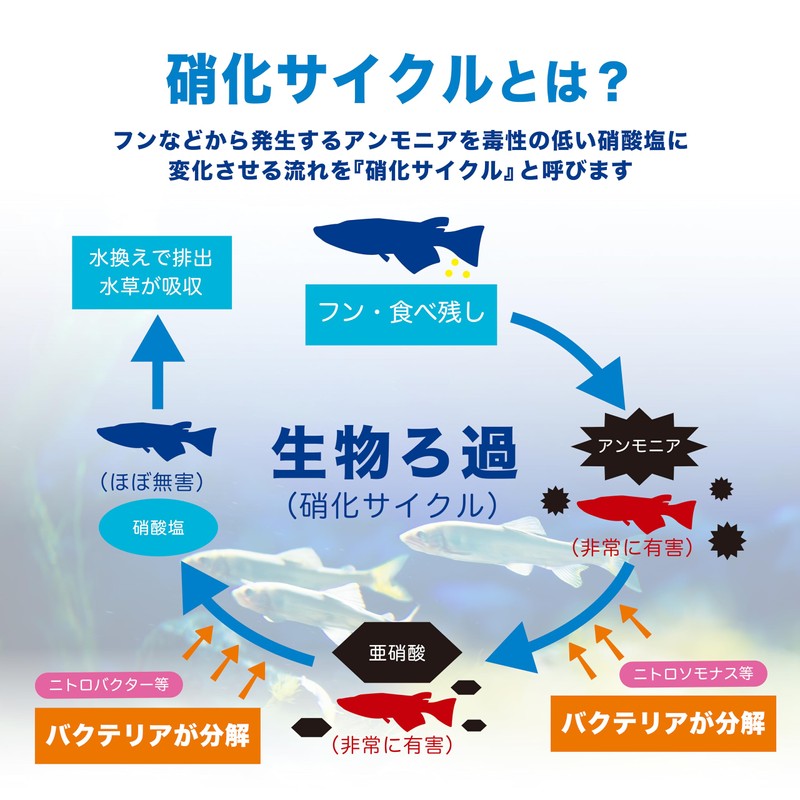 ENJOY AQUA Fish with Clean Water! High Concentration Bacteria, Bio