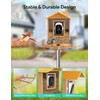 Osoeri Bird Feeder with Camera, Smart Bird Feeder Camera with