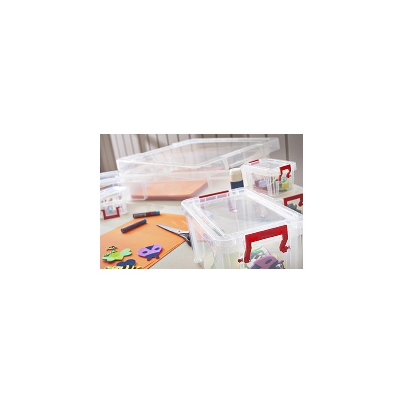 Whitefurze Allstore Container with Silver Clamp, Plastic, Natural, 0.3 Litre