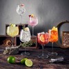 Luigi Bormioli Gin & Tonic 27 oz American Gin Glasses,