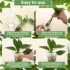 Baderke 35 Pcs Plastic Plant Propagation Station Desktop Terrariums Plant