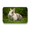 Merchandise for Fans 01 Rabbit Fridge Magnets Rectangular 7 x