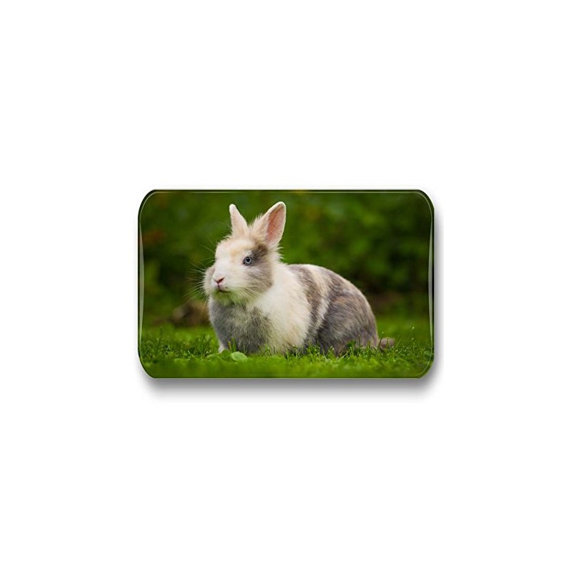 Merchandise for Fans 01 Rabbit Fridge Magnets Rectangular 7 x