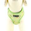 Dog Harness and Leash Set, Adjustable Dog Harness, Dog Leash,