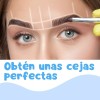 Universo en Linea 2 Regla Facial Microblading Plástico Para Diseño