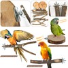 CZWESTC 8 Pieces Natural Wood Bird Perch Wooden Parrot Perch