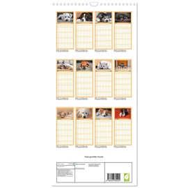 Familienplaner 2026 - Total gechillte Hunde mit 5 Spalten (Wandkalender, 21 cm x 45 cm), CALVENDO: Hundekalender mit gechillten Hunden (CALVENDO Tiere)