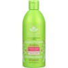 Nature's Gate Volumizing Conditioner, Awapuhi Ginger + Holy Basil 18