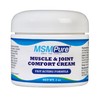 KALA HEALTH MSMPure Maximum Strength MSM Cream – 2 oz,