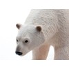 Polar Bear Plastic Model