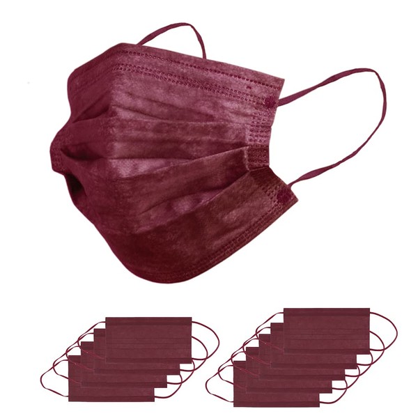 SWINGPLUS Non-woven Mask, Color Mask, Made in Japan, Pack of 10, Individually Packaged, Regular Size, Disposable (Wine)