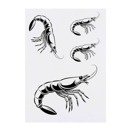 Azeeda 4 x 'Knallgarnelen' Temporäre Tattoos - Wasserfest, Hautfreundlich & Ungiftig · Transfers in Verschiedenen Größen (TO00073514)