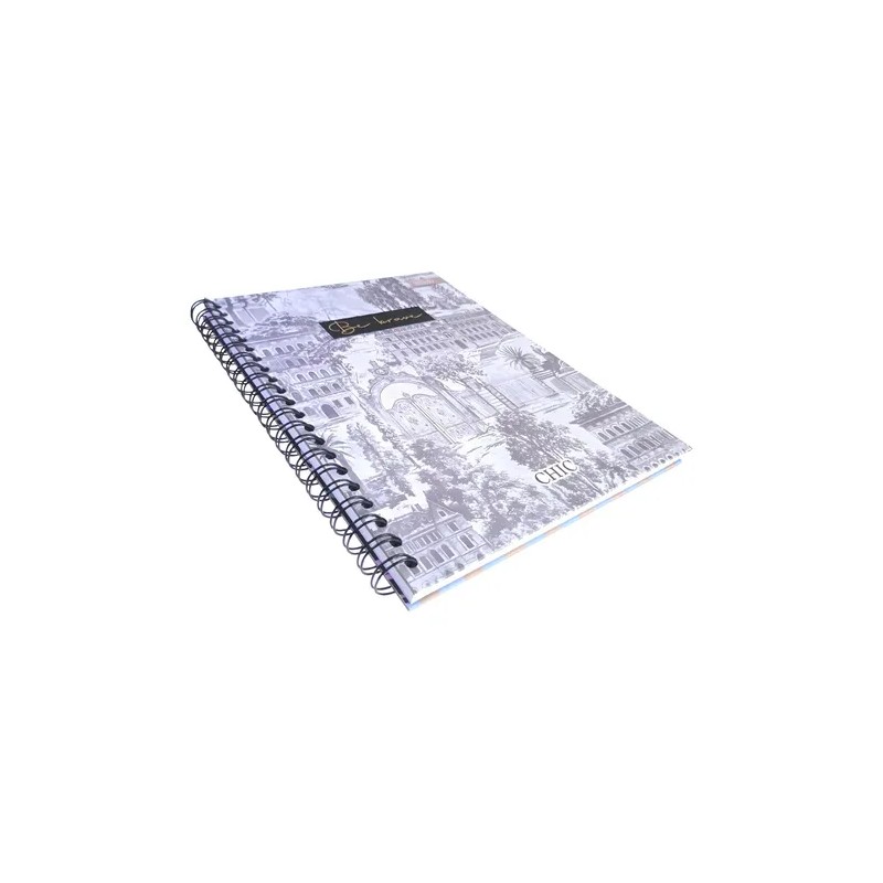 Cuaderno Profesional Estilo Pasta Dura Do1 Raya 100hjs