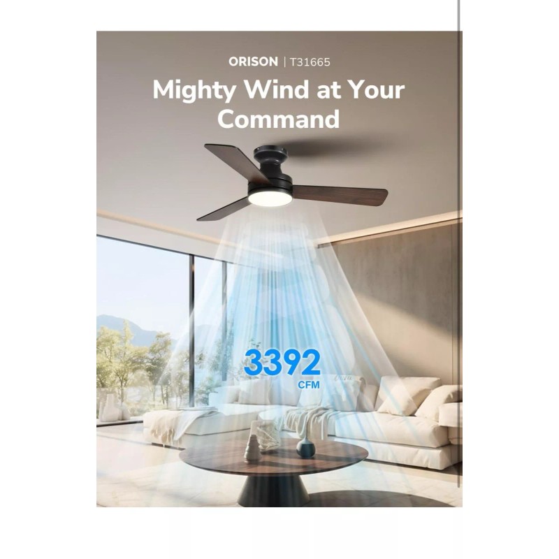Orison Ceiling Fans with Lights, 42 inch Low Profile Ceiling