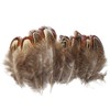 100 pcs Natural Pheasant Plumage Feathers 2-3 Inches Plumage Feathers