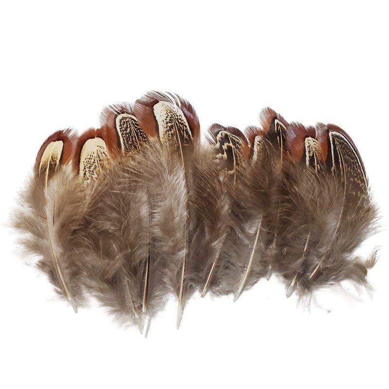 100 pcs Natural Pheasant Plumage Feathers 2-3 Inches Plumage Feathers