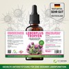 DKT-Natura Leberplus Tropfen - Unterstützt Leberentgiftung, gegen Fettleber (50 ml,