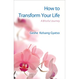 How to Transform Your Life: A Blissful Journey