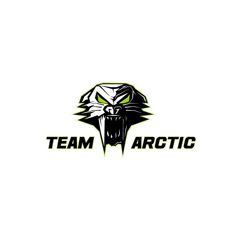 Team Arctic Cat Version 3 Large 12 inch Decal