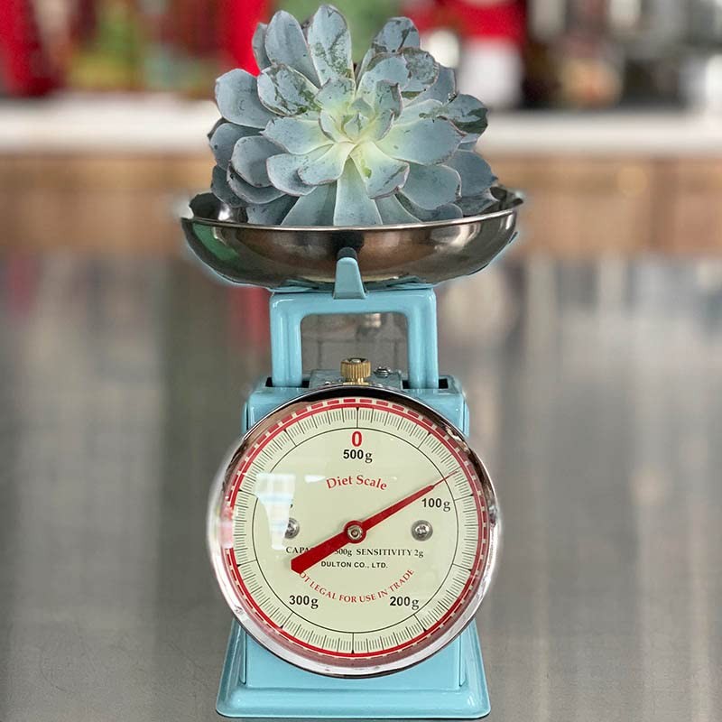 ダルトン(Dulton) ダイエットスケール 500g サックス 100-126 本体:スチール 皿:ステンレス 中国 BSK8605