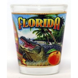 World By Shotglass Florida State Mural Shot Glass jks