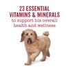Purina Beneful Wet Dog Food Variety Pack, Incredibites & Medleys