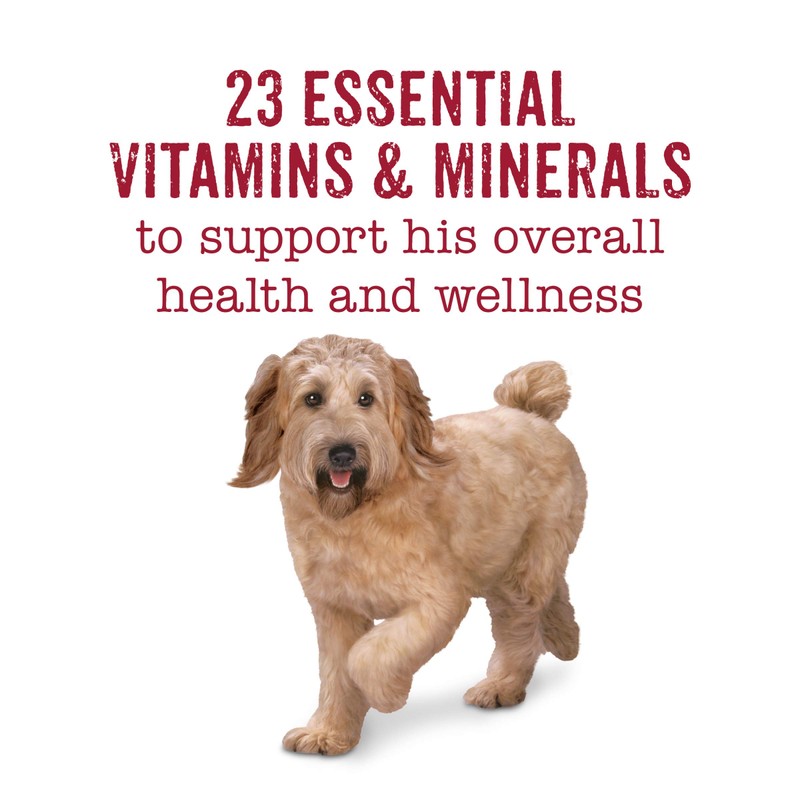 Purina Beneful Wet Dog Food Variety Pack, Incredibites & Medleys