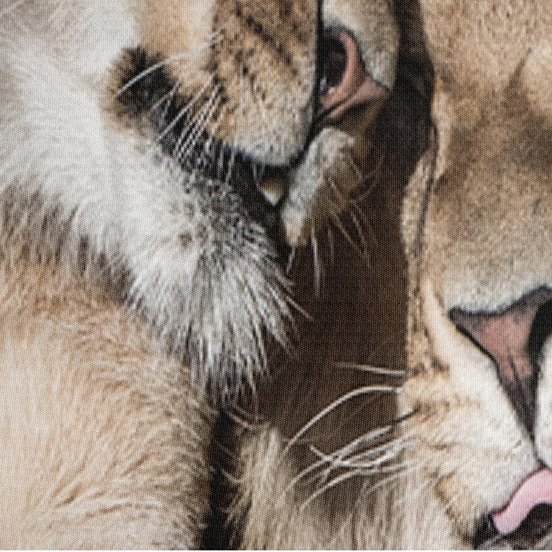 DXHOME Lion Children's Bed Linen Sets, 155 x 220 cm,