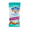 Blue Diamond Almonds, Oven Roasted with Sea Salt, 100 Calorie