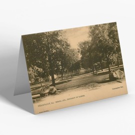 GREETING CARD - Vintage Illinois USA - Champaign. Burrill Ave. University