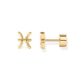 PAVOI 14K Yellow Gold Plated Sterling Silver Posts Zodiac Sign Flat Back Earring Studs | Birthday Gift for Women | Astrology Earring Pair | Pisces