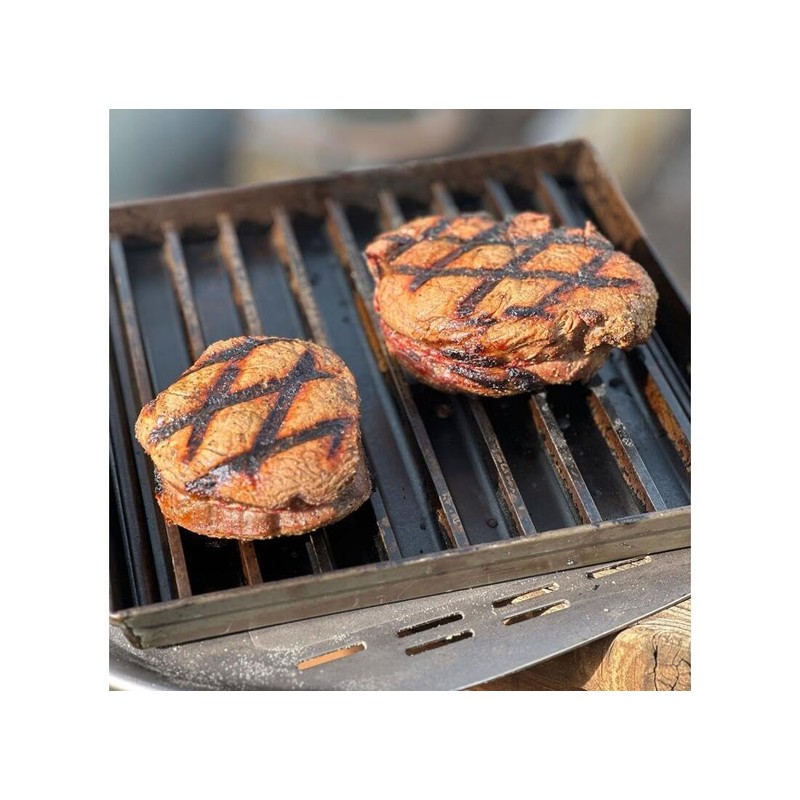 GrillGrate for Indoor and Pizza Ovens - Sear Meat and