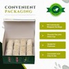 Mokhtar Tea London | Premium Quality Green Tea | With