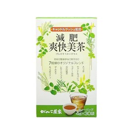 Ganko Chaya Brewing Tea, 1 Box (30 Bags), Herbal Tea Tea (1 Bag, Refreshing Brewing Tea L Type)