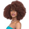 MULTI PACK DEALS! Janet Collection Synthetic Hair Braids Noir 2X