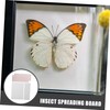 VILLFUL Specimen Pinning Board Butterfly Spreading Tool for Entomology Convenient