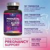 Multivitamínico Prenatal Nature's Nutrition Con Ácido Fólico