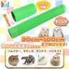 Y'sssshop Ferret Tunnel Chinchilla Hamster Pipe Toy Play Tool (Aqua)