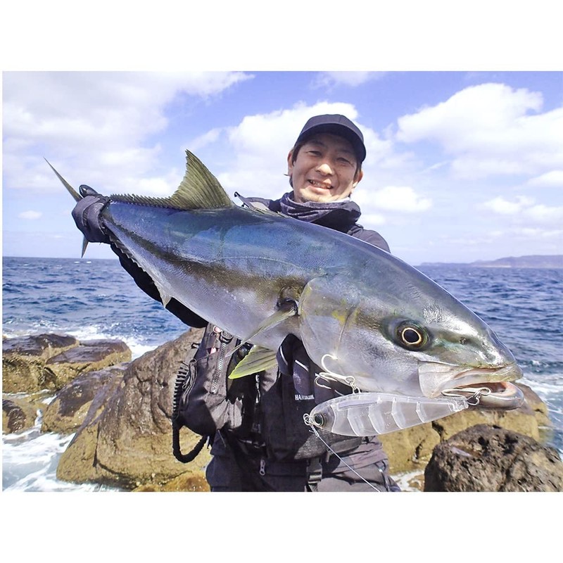 DUEL Hardcore Water Drive Lure, 5.9 inches (150 mm), Sinking