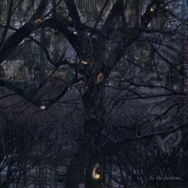 ...By the Shadows... (Digipak)