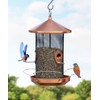 Acgarten Large Hanging Wild Bird Feeder – Outdoor 12.6inch Durable