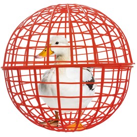 CalorMixs 19.6" Pet Removable Safety Cage Chicken Coop Ball Cage Rolling Enclosure Outdoor Farms Courtyard Plastic Hutch Secure Walking Net Rabbits Chicks Ducks Prevents Dog Bites 2-Pack