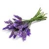 Lavender buds - 1 oz(28g) - Sampler Size - "ULTRA"