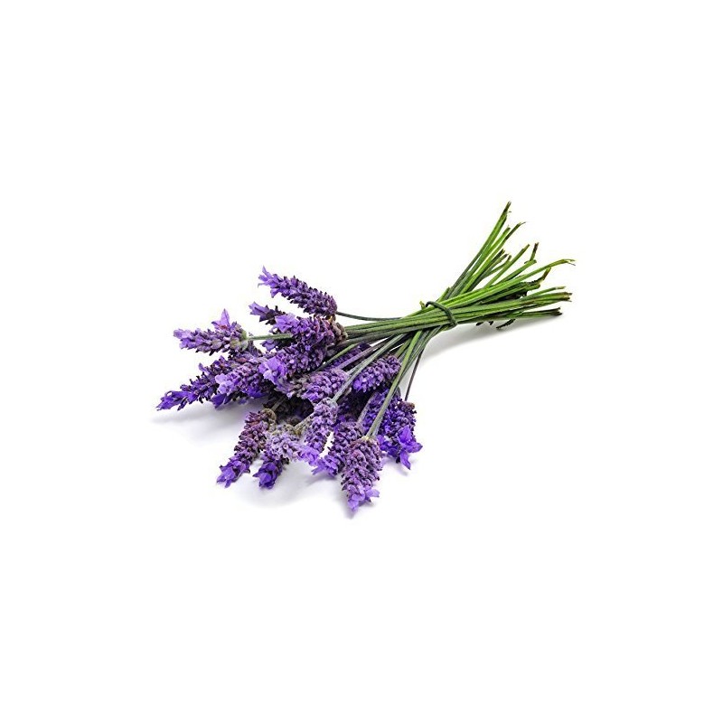Lavender buds - 1 oz(28g) - Sampler Size - "ULTRA"