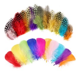 MehelloFeather Colorful Feathers 2 Style Craft Feathers 420Pcs for Handmade DIY Wedding Family Party Decorations Mixed Natural Feathers